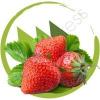 Flavor :  Strawberry by Northwest VG Flavors