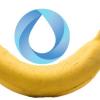 Flavor :  Banana by Nude Nicotine