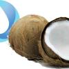 Flavor :  Creamy Coconut par NUDE NICOTINE