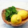 Flavor :  Lemon Mint by Nude Nicotine