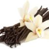 Flavor :  Patchouli Vanilla par NUDE NICOTINE
