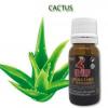 Flavor :  Cactus by Oil4Vap