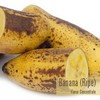 Flavor :  Banana Ripe by One-on-One Flavors