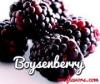 Flavor :  Boysenberry by One-on-One Flavors