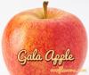 Flavor :  Gala Apple by One-on-One Flavors