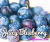 Flavor :  Juicy Blueberry by One-on-One Flavors