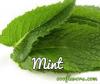 Flavor :  Mint by One-on-One Flavors