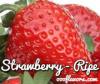 Flavor :  Strawberry Ripe par ONE-ON-ONE FLAVORS