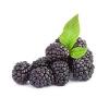 Flavor :  Blackberry by One Stop