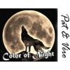 Flavor :  Color Of Night by Pat&Vero