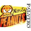 Flavor :  Nasty Peanuts by Pat&Vero
