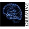 Flavor :  The Brain by Pat&Vero