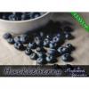 Flavor :  Huckleberry by Perfumer's Apprentice