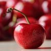 Flavor :  Cherry Extract by Perfumer's Apprentice