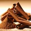 Flavor : cinnamon by Perfumer's Apprentice Flavor : cinnamon by Perfumer's Apprentice