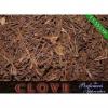 Flavor : clove by Perfumer's Apprentice Flavor : clove by Perfumer's Apprentice