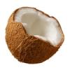 Flavor :  coconut by Perfumer's Apprentice