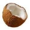 Flavor : coconut by Perfumer's Apprentice Flavor : coconut by Perfumer's Apprentice