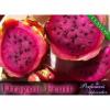 Flavor :  dragonfruit by Perfumer's Apprentice