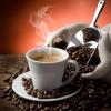 Arôme : Espresso
Dernière mise à jour le : 13-01-2016 Arôme : Espresso
Dernière mise à jour le : 13-01-2016