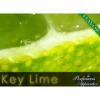 Flavor :  key lime by Perfumer's Apprentice
