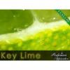 Flavor : key lime by Perfumer's Apprentice Flavor : key lime by Perfumer's Apprentice