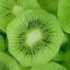 Arôme : Kiwi Double
Dernière mise à jour le : 08-06-2019 Arôme : Kiwi Double
Dernière mise à jour le : 08-06-2019