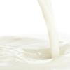 Flavor :  malted milk by Perfumer's Apprentice
