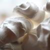 Flavor : meringue by Perfumer's Apprentice Flavor : meringue by Perfumer's Apprentice