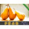 Arôme : Pear
Dernière mise à jour le : 22-09-2014 Arôme : Pear
Dernière mise à jour le : 22-09-2014
