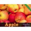 Flavor : apple by Perfumer's Apprentice Flavor : apple by Perfumer's Apprentice