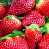 Flavor :  strawberry ripe by Perfumer's Apprentice