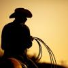 Flavor :  Western by Perfumer's Apprentice