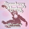 Flavor :  Strawberry Monkey by Pink Horse