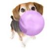Flavor :  Hubba Bubba Grape by Pink Spot Vapors