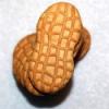 Flavor :  Nutty Buddy Cookie by Pink Spot Vapors