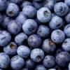 Flavor :  Wild Blueberry by Pink Spot Vapors