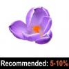 Flavor :  Parma Violet by Pope And Brewer's