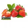 Flavor :  Erdbeere by PRO Steamer Flavours