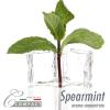 Flavor :  Spearmint by Puff