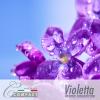Flavor :  Violetta by Puff