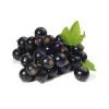 Flavor :  Cassis by PUR E-Liquide