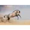 Flavor :  Grey Steed by PUR E-Liquide