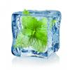 Flavor : menthol by PUR E-Liquide Flavor : menthol by PUR E-Liquide
