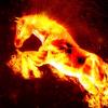 Flavor :  Red Horse by PUR E-Liquide
