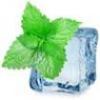 Flavor :  Arctic Mint by Purilum