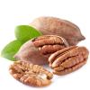 Flavor :  Butter Pecan by Purilum