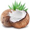 Flavor :  Fresh Coconut by Purilum