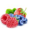Flavor :  Wild Berry Harvest by Purilum