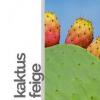 Flavor :  Kaktusfeige by rauchFREI